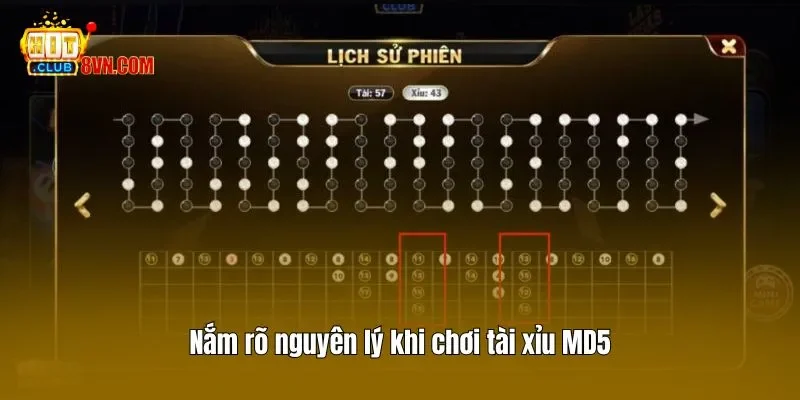 Nắm rõ nguyên lý khi chơi tài xỉu MD5